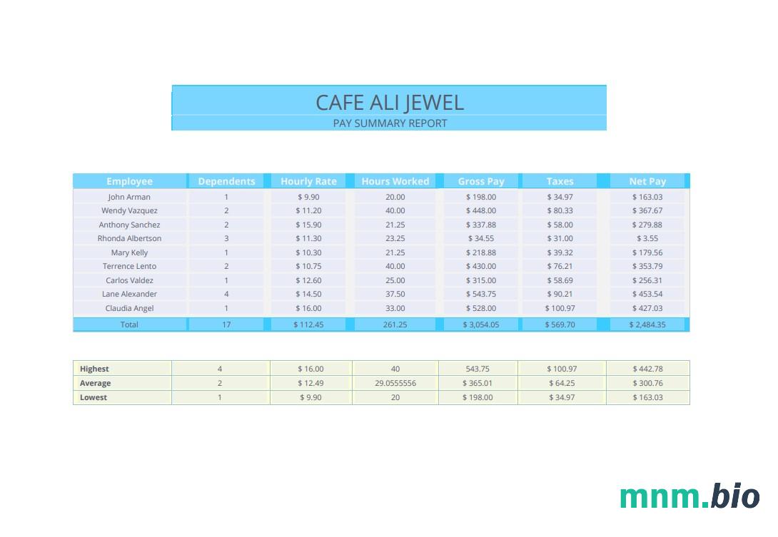 Pay summary report pay stub